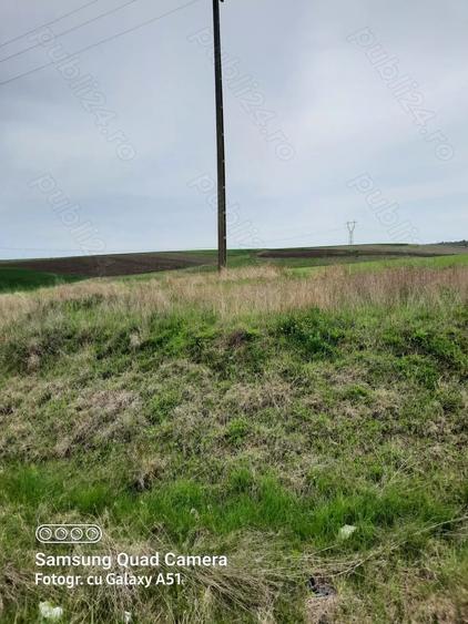 Teren de 5000 mp, în Pielești