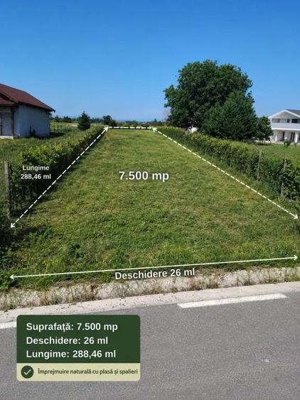 Teren de 12500 mp, în Lămotești