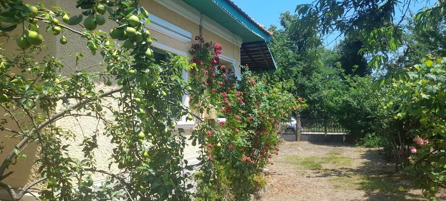 Casă cu 3 camere în Frâncești