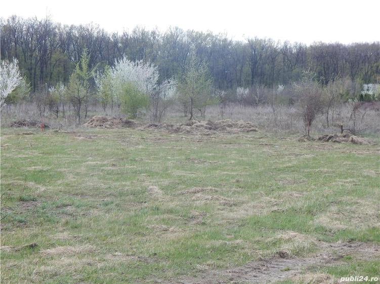 Teren de 1000 mp, în Băneasa