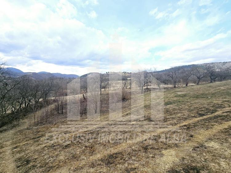 Teren Construcții intravilan de 12211 mp, în Geoagiu de Sus