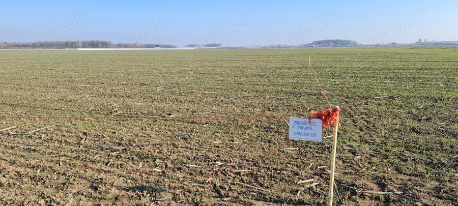 Teren de 941 mp, în 1 Decembrie