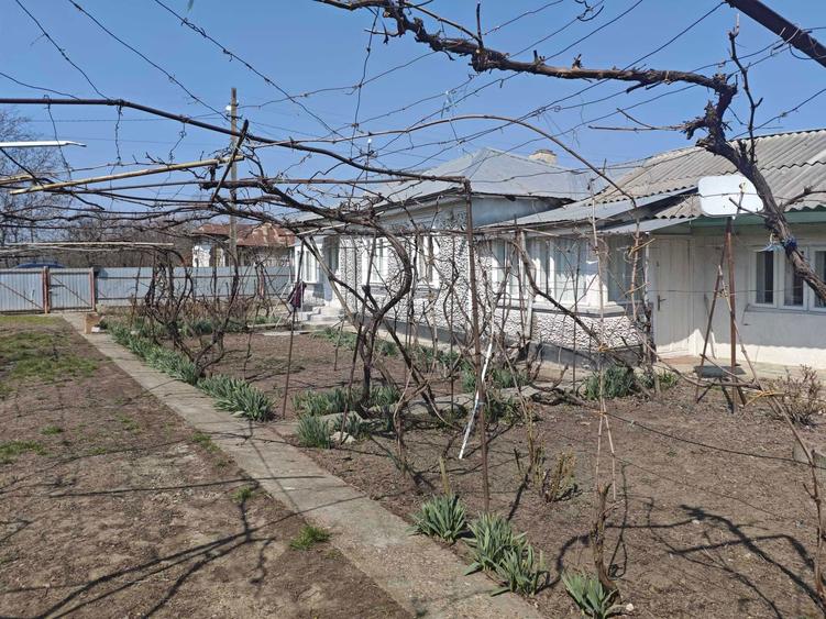 Casa Bordesca Noua - 5