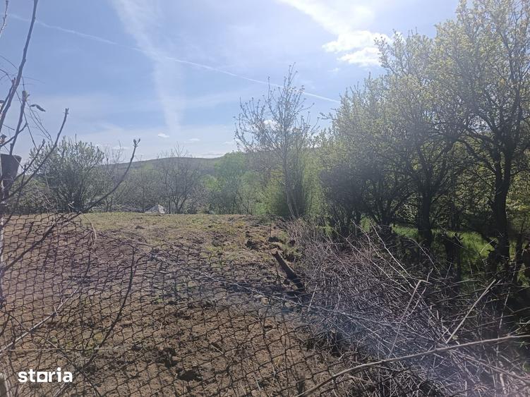 Teren de 554 mp, în Central