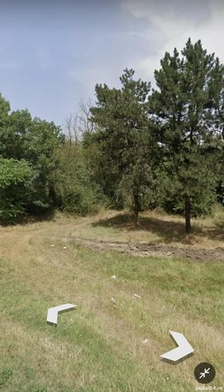 Teren de 12000 mp, în Cobadin