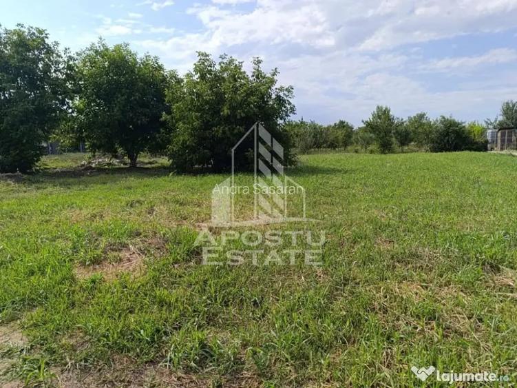 Teren intravilan in vatra satului Giarmata Vii de 683 mp - Giarmata Vii (Timis)