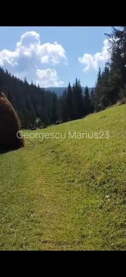 ???? Teren de vanzare intr-o zona feerica Poiana Horea ????