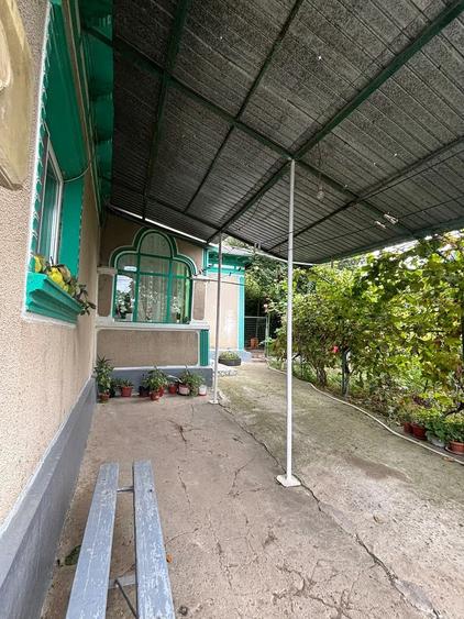Casă cu Teren 1426 Mp în Mineri