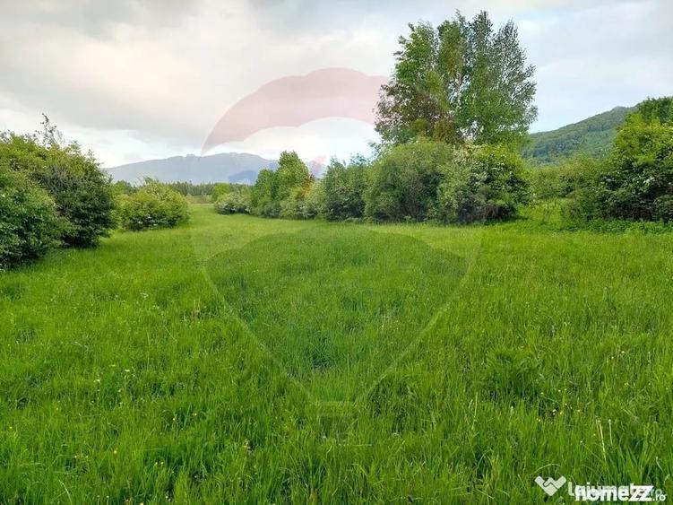 Teren în Tohănița