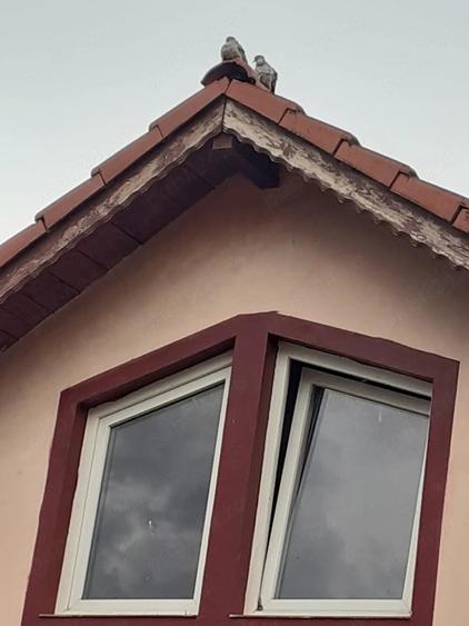 Casă cu 3 camere cu Teren 917 Mp în Iohanisfeld