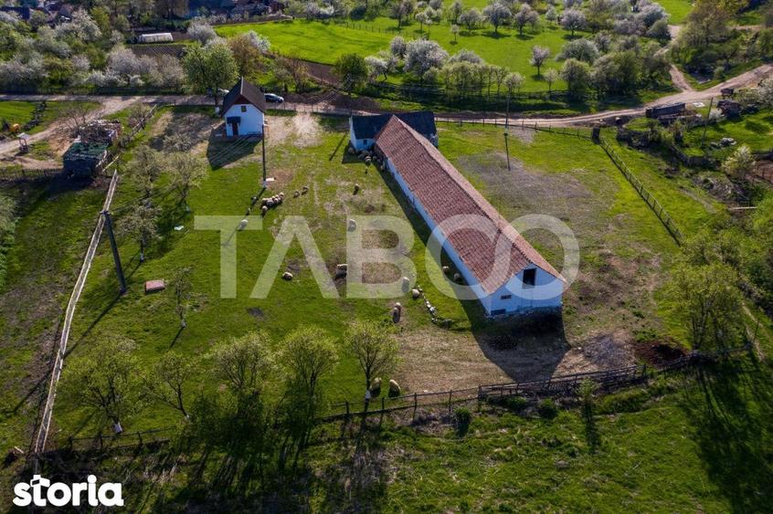 Casă cu 3 camere cu Teren 123 Mp în Pianu