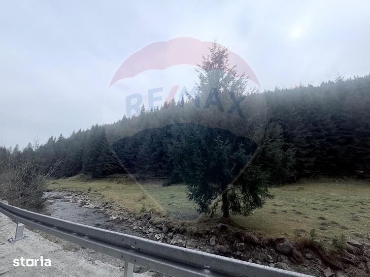 Teren de 4331 mp, în Arieșeni