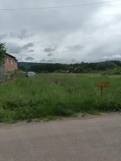 Teren de 3055 mp, în Bujoreni