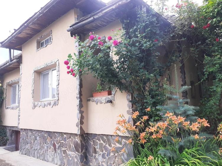 Vind Casa in Ocolis Maramures str.Culturii nr.110 - 1