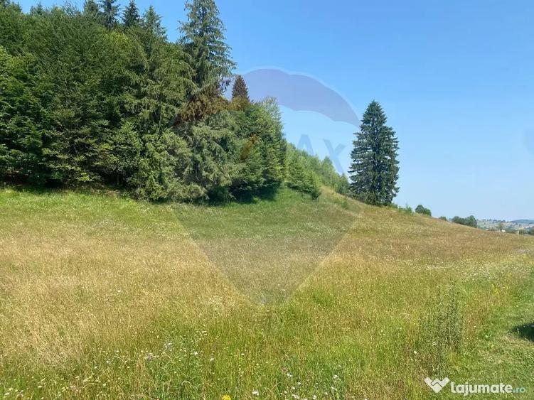 Teren în Vama Buzăului