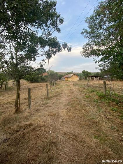 Casă cu 6 camere cu Teren 3400 Mp în Sprâncenata