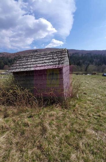 Teren intravilan 2500 mp in Valea Doftanei - 8