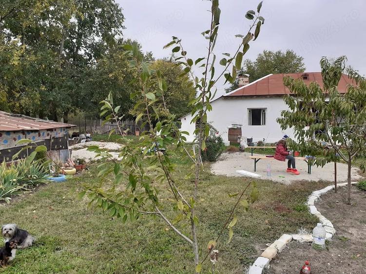 Casă cu Teren 1592 Mp în Schitu