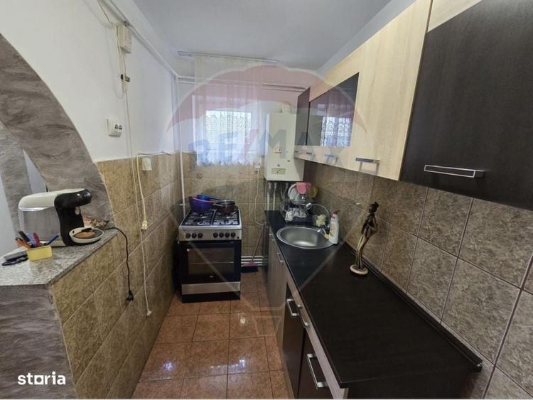 Apartament cu 2 camere decomandat în Teiș