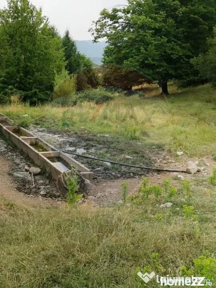 Teren în Dumbrăvița