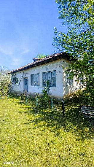 Teren de 1300 mp, în Mischii