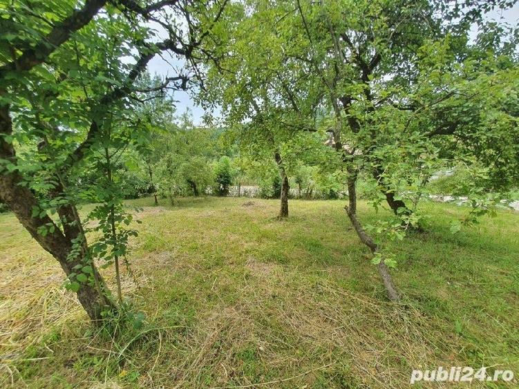 Teren de 2600 mp, în Râu Alb de Sus