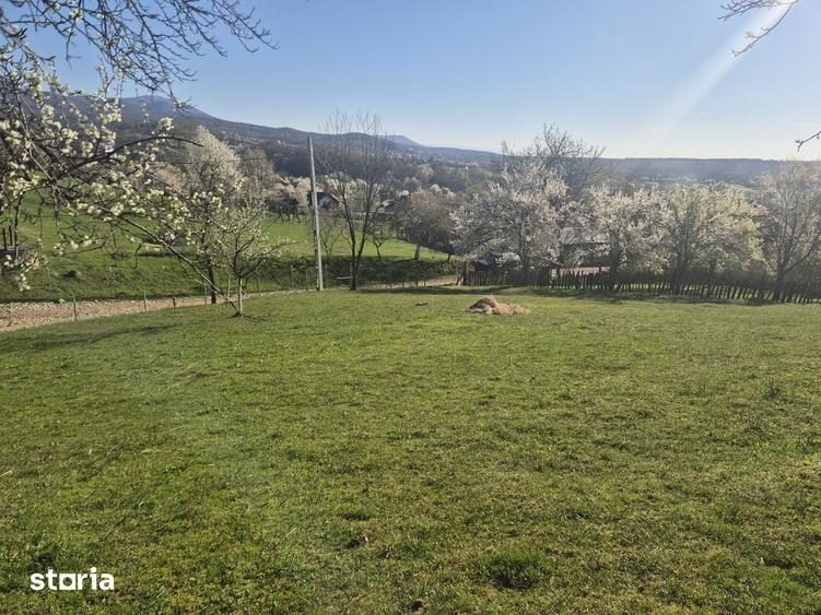 Casă cu 3 camere cu Teren 2586 Mp în Central