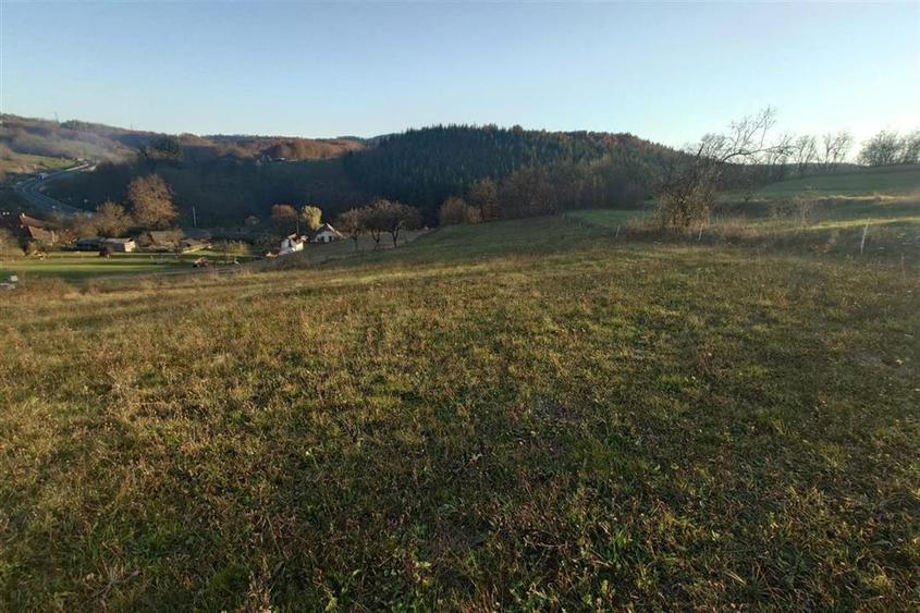 Teren extravilan de 3060 mp, în Luncoiu de Sus