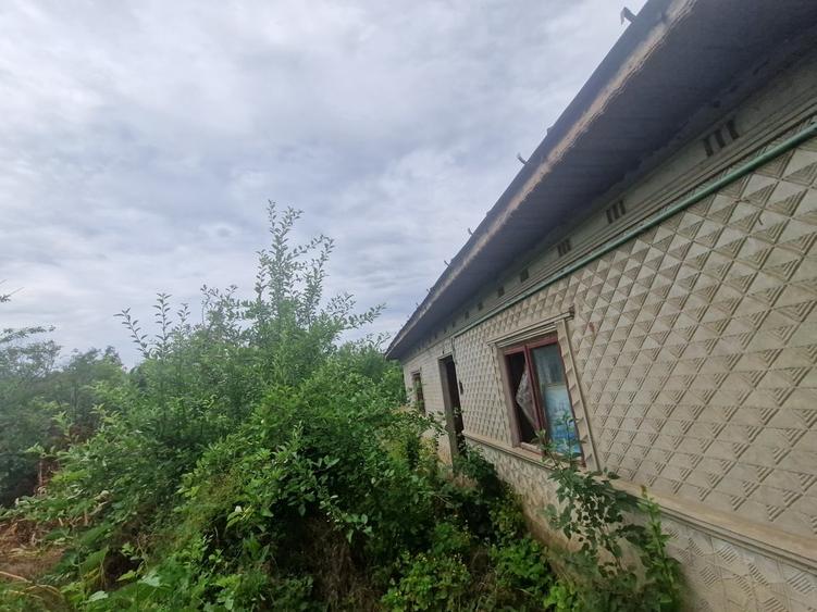 Casă cu 5 camere cu Teren 980 Mp în Obor