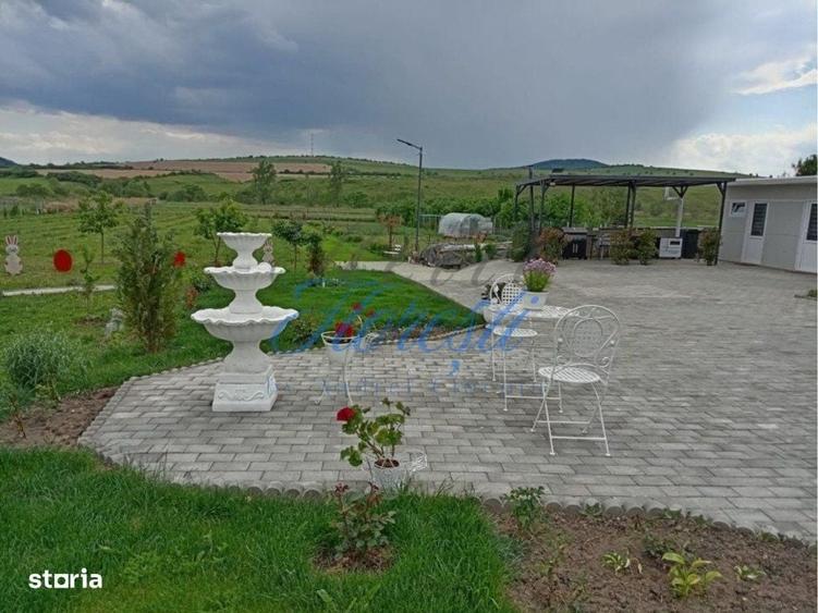Casă cu 3 camere în Vișea