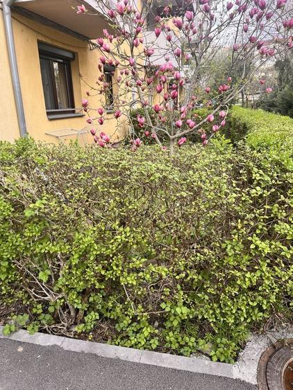 Apartament cu 2 camere nedecomandat în Micro 15