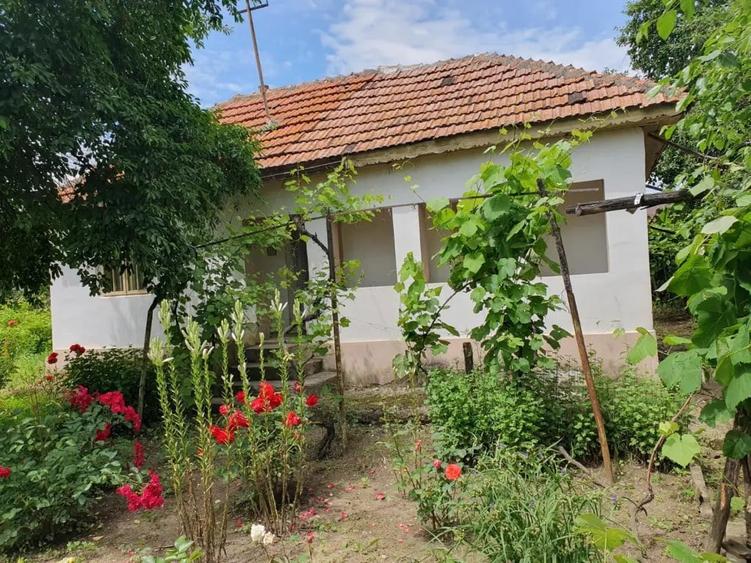 Casă cu 4 camere în Valea Părului