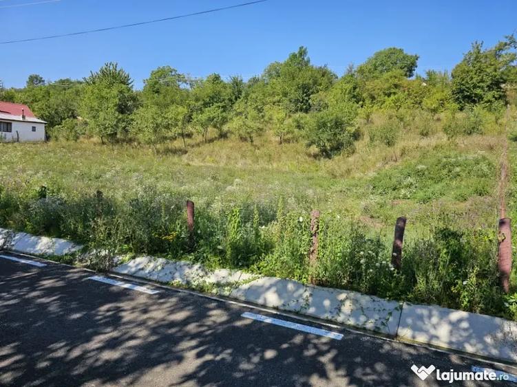Casă cu 7 camere în Mărunțișu