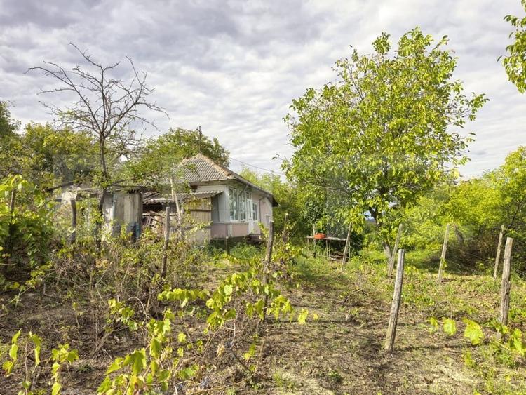 Casă individuală cu 4 camere cu Teren 2982 Mp în Costuleni