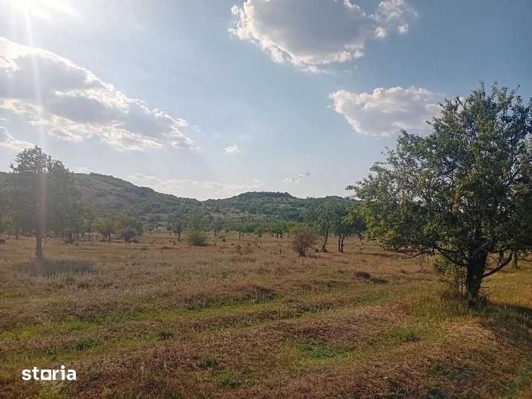 Teren de 15000 mp, în Filipeștii de Pădure