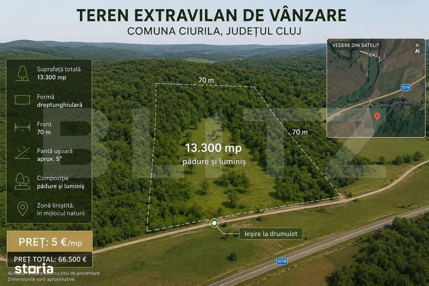 Teren extravilan, 13.300 mp in Ciurila | Forma dreptunghiulara | 5 - 1