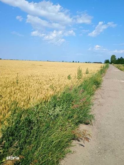 Proprietar!Vand 5000 mp teren extravilan in Valea Ursului - 1