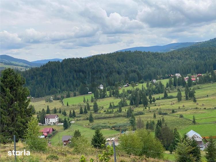 Teren de 1700 mp, în Arieșeni
