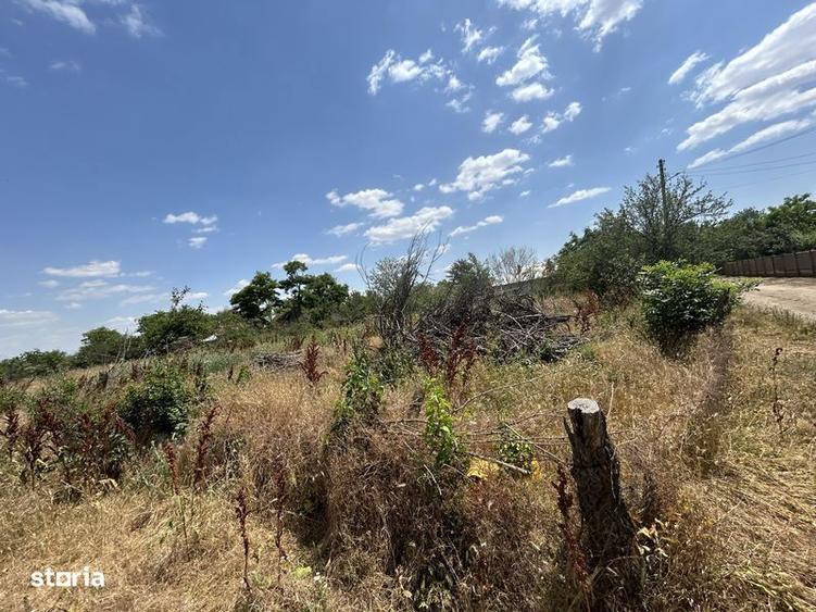 Teren de 1000 mp, în Salcia