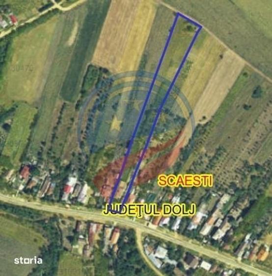 Casă cu 3 camere cu Teren 5473 Mp în Scăești