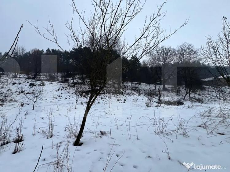 Teren de 2800 mp, în Micești