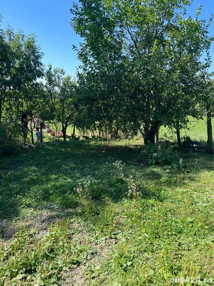 Casă cu 6 camere cu Teren 1900 Mp în Vălenii de Munte