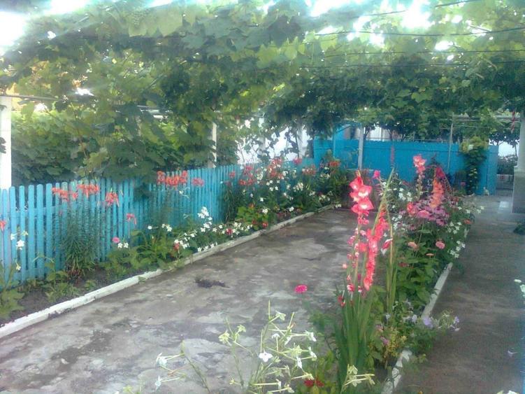 Casă cu 4 camere cu Teren 1853 Mp în Sarichioi
