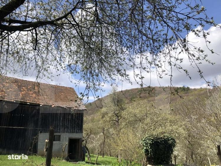 Casa rustica cu livada in Zalan, com. Bodoc, jud. Covasna - 3