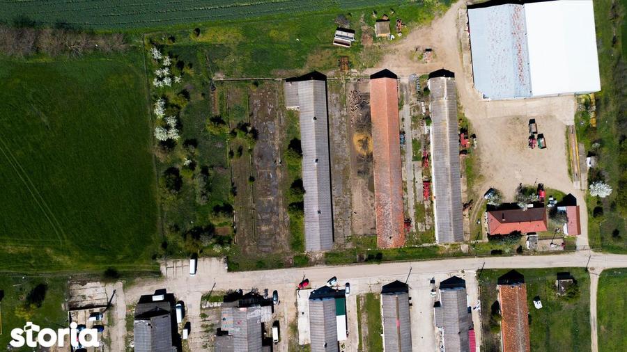 Spațiu comercial, de 734 mp, în Macea