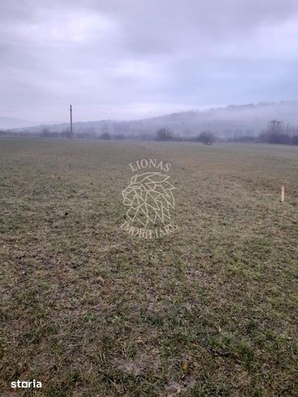 Teren 1698 mp-ideal investitie-Dumitrita, 15 km de Bistrita - 4