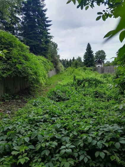 Teren intravilan de vanzare, Snagov, Ilfov - 4