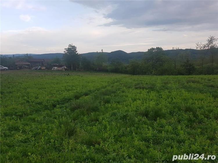 Teren de 1000 mp, în Vlădești