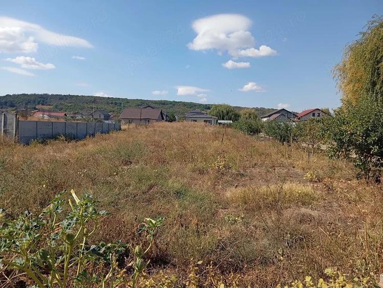 Teren de 1000 mp, în Podari