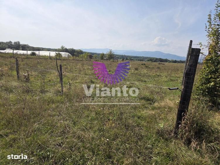 Teren extravilan 1500 mp Selimbar-langa troita - 2